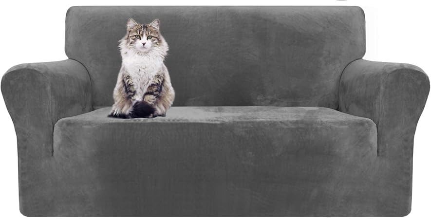 velvet sofa with dogs