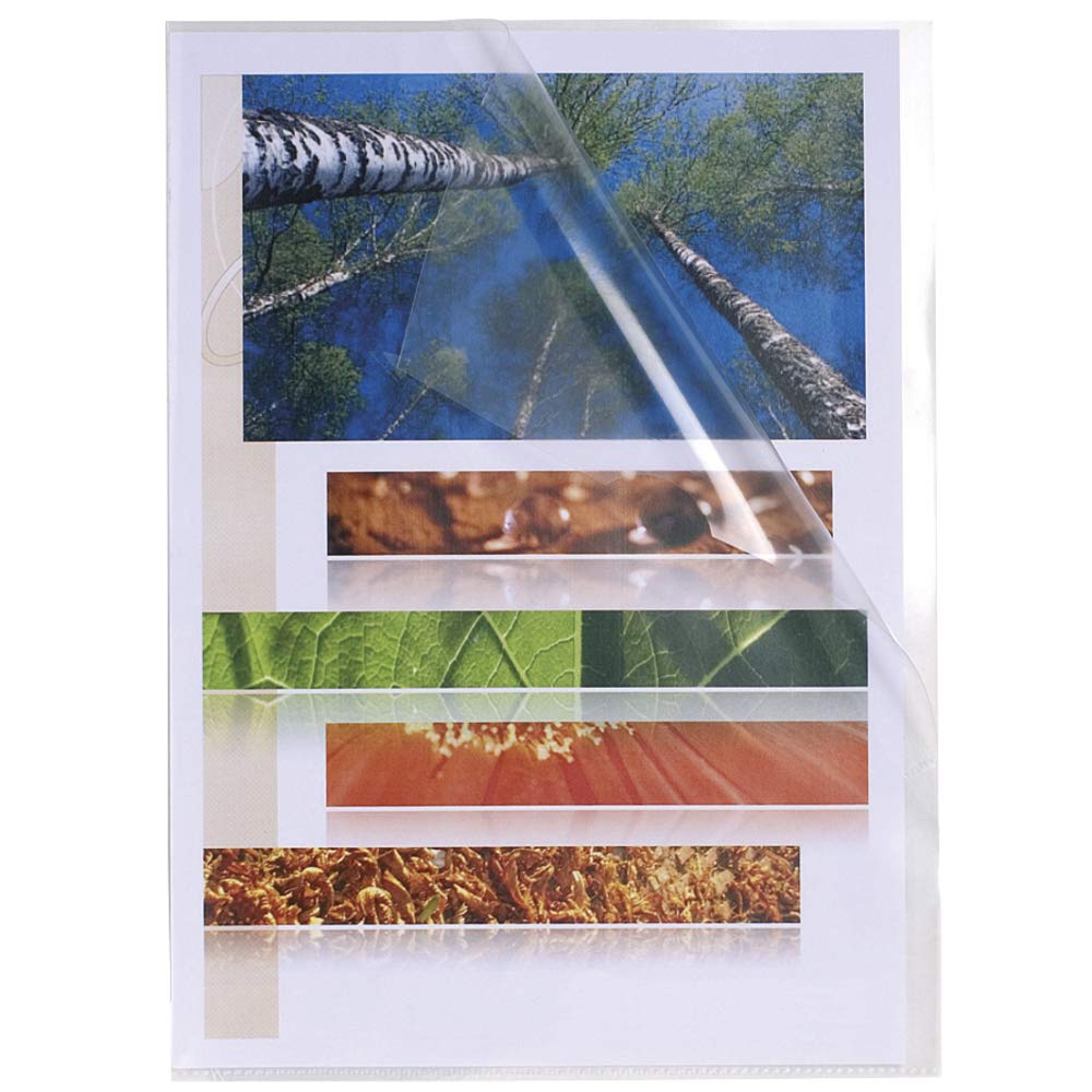 Exacompta - Ref 56111E - PP Cut Flush Folder - Suitable for A4 Documents, Top Opening, 0.12mm Clear Polypropylene, Top & Side Opening - Clear (Bag of 100)