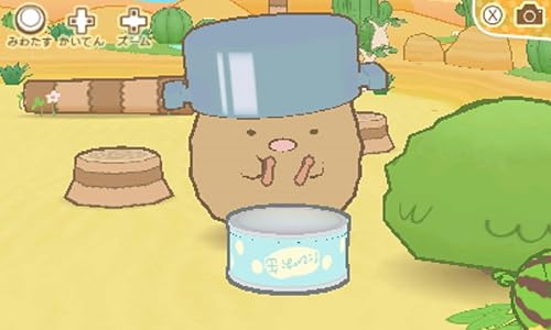 すみっコぐらし ここ どこなんです 予約 最安値情報 3ds 第4弾は 無人島が舞台 彼らの探検を導こう Daystar