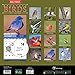 2016 Backyard Birds Wall Calendar