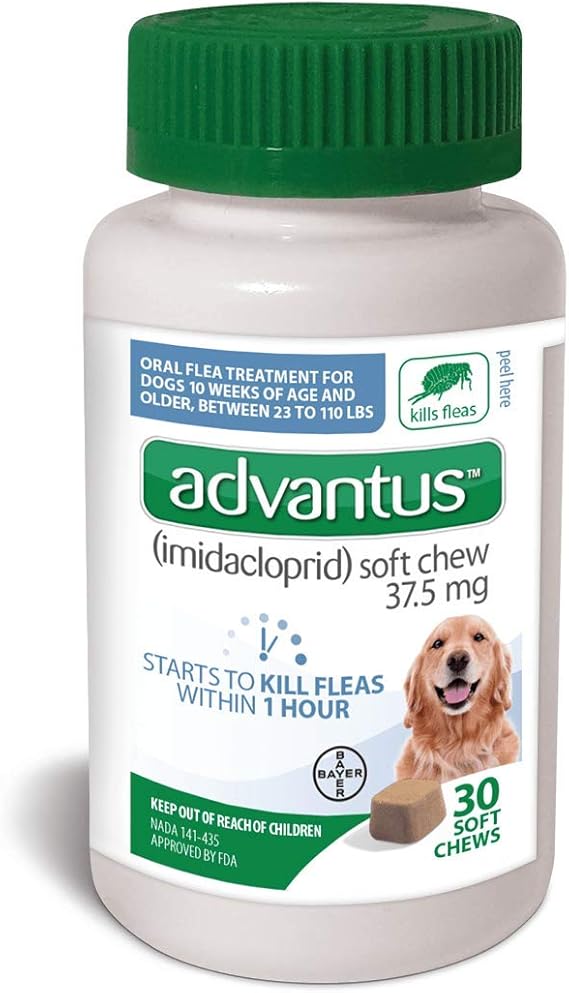 top 5 cutest puppies