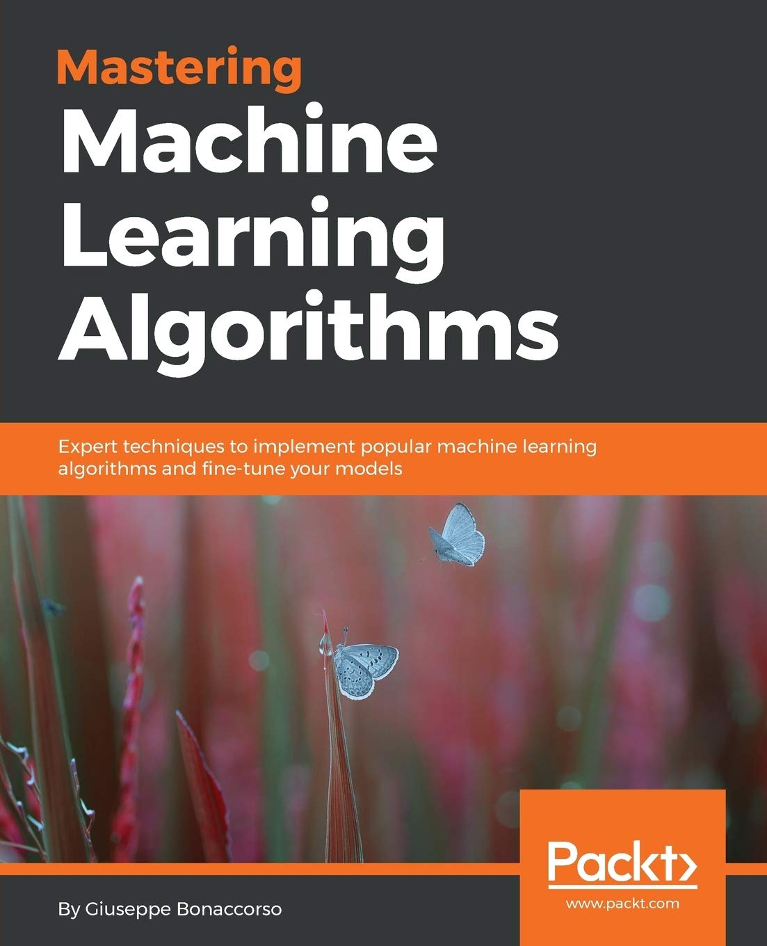 mastering machine learning algorithms giuseppe bonaccorso