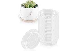 UltraOutlet 40 Pack 4 Inch Plant Saucer Clear Plant Saucers for Indoors Flower Pot Saucers Small Plant Plate Dish Plant Pot Saucers Plant Trays for Pots Bulk