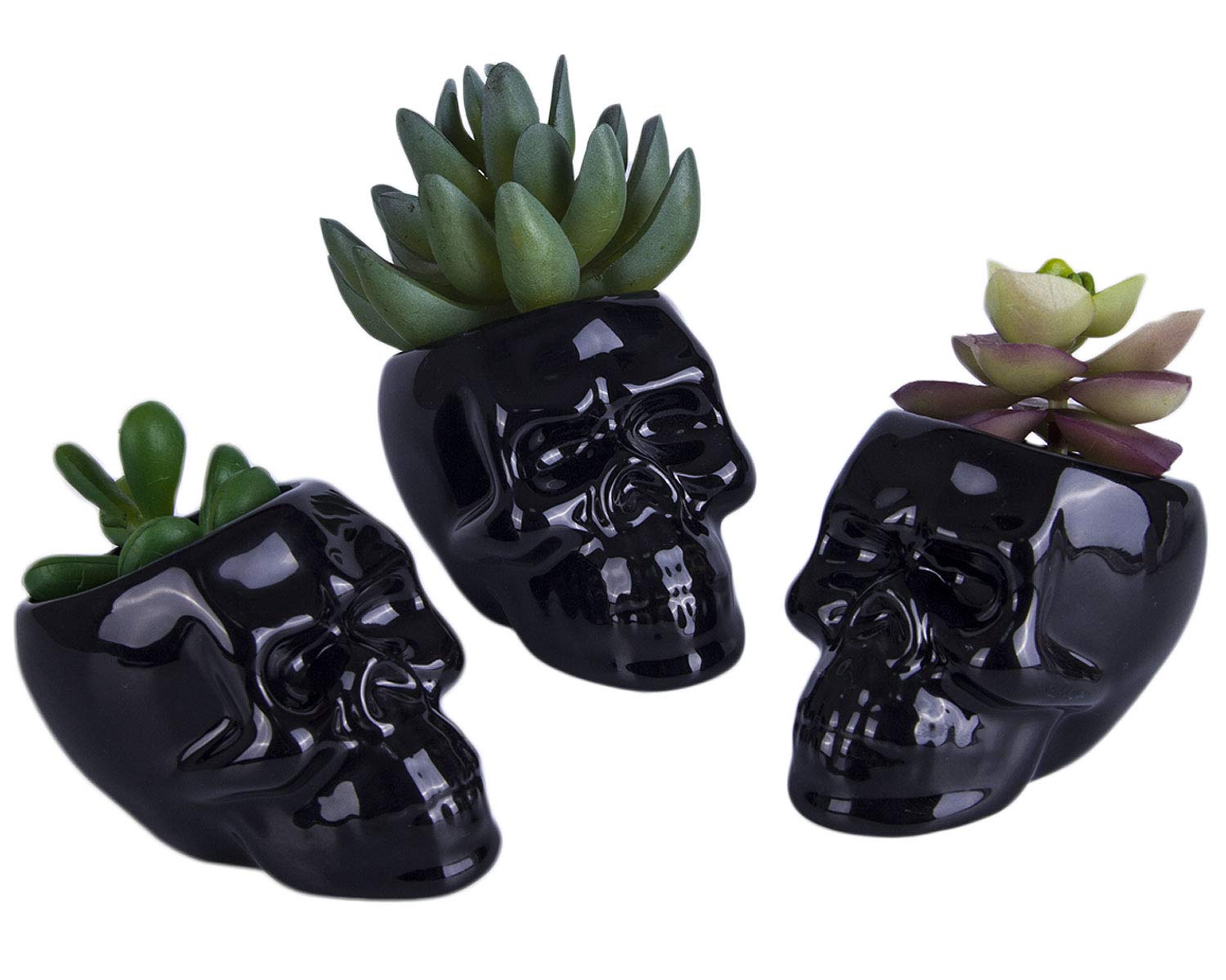 Photo 1 of VanEnjoy Set of 3 Black Ceramic Skull Shaped Succulent Planter Pots Creative Cactus Plant Pot Pen Pencil Holder, Home Office Desk Decoration