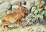 Posterazzi Burgess Animal Book for Children 1920