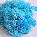 Bister 6.5oz Reindeer Moss Preserved 5 Assorted Colors for Fairy Gardens, Gift Packing, Dressing Potted Plants and More Crafts