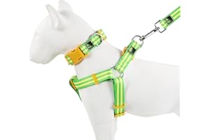 Tiffpaws Striped Dog Harness Collar and Leash Set, Polyester Webbing Dog Collar Easy Walking and Training Dog Harness and Leash 3-in-1 Suit Adjustable Dog Harness Collar Leash Set for Dogs(Yellow, S)