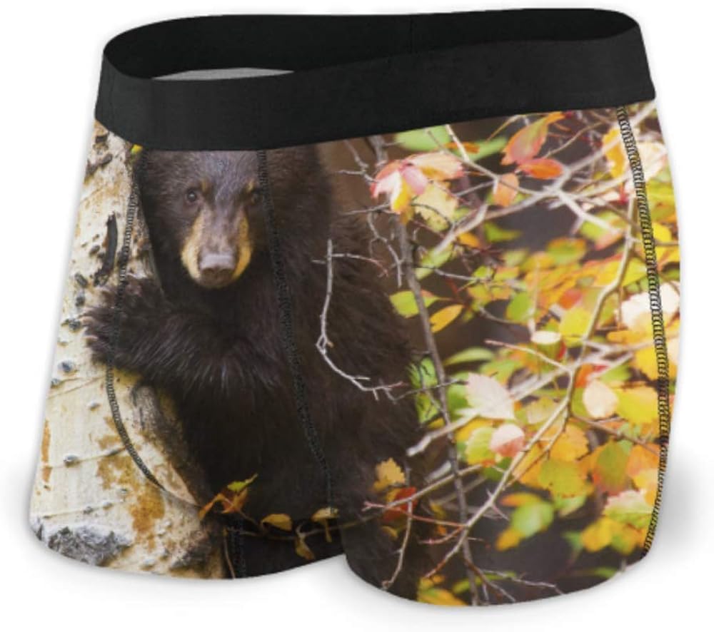 N\A Black Bear Cub Climbs Aspen Tree Mens Boxers Briefs Breathable