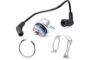 Lisnhlin 89060418 Fuel Injection Pressure Regulator with Vacuum Line Replacement for Chevrolet for Avalanche 1500 for Silverado for Buick for Cadillac for GMC for Hummer for Isuzu Replace 17113556