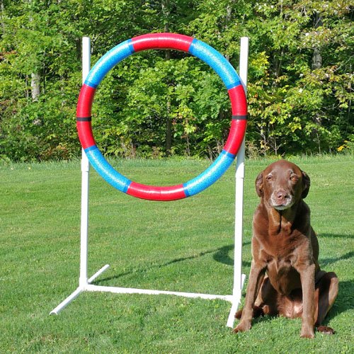 Affordable Agility Practice Tire Jump