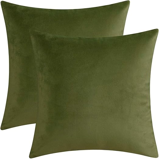 Amazon Com Artcest Set Of 2 Velvet Solid Cute Throw Pillow Cases