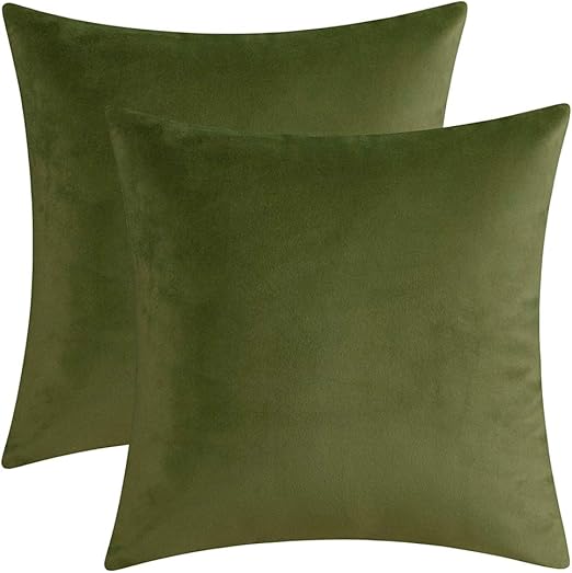 sage throw pillow