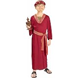 Buy Forum Novelties Child Boy's Polyester Biblical Times King of The Kingdom Costume (Small) Online at Low Prices in India