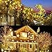Twinkle Star 300 LED Christmas Mini String Lights, 99 FT Fairy Lights with Safe Adapter for Indoor Outdoor Home Garden Party Christmas Decoration, Warm White