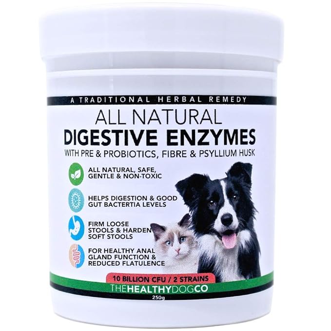 All Natural Probiotics & Digestive Enzymes For Dogs & Cats 10 Billion