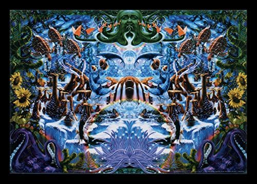 Studio B Octopus Garden Blacklight Poster by Richard Biffle 36 x 24in