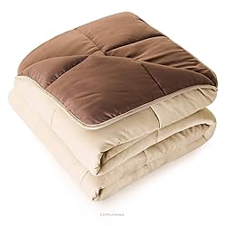 LINENSPA Reversible Down Alternative Comforter and
