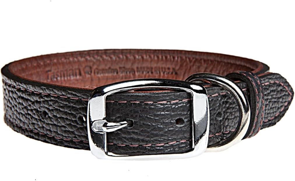 elk leather dog collar