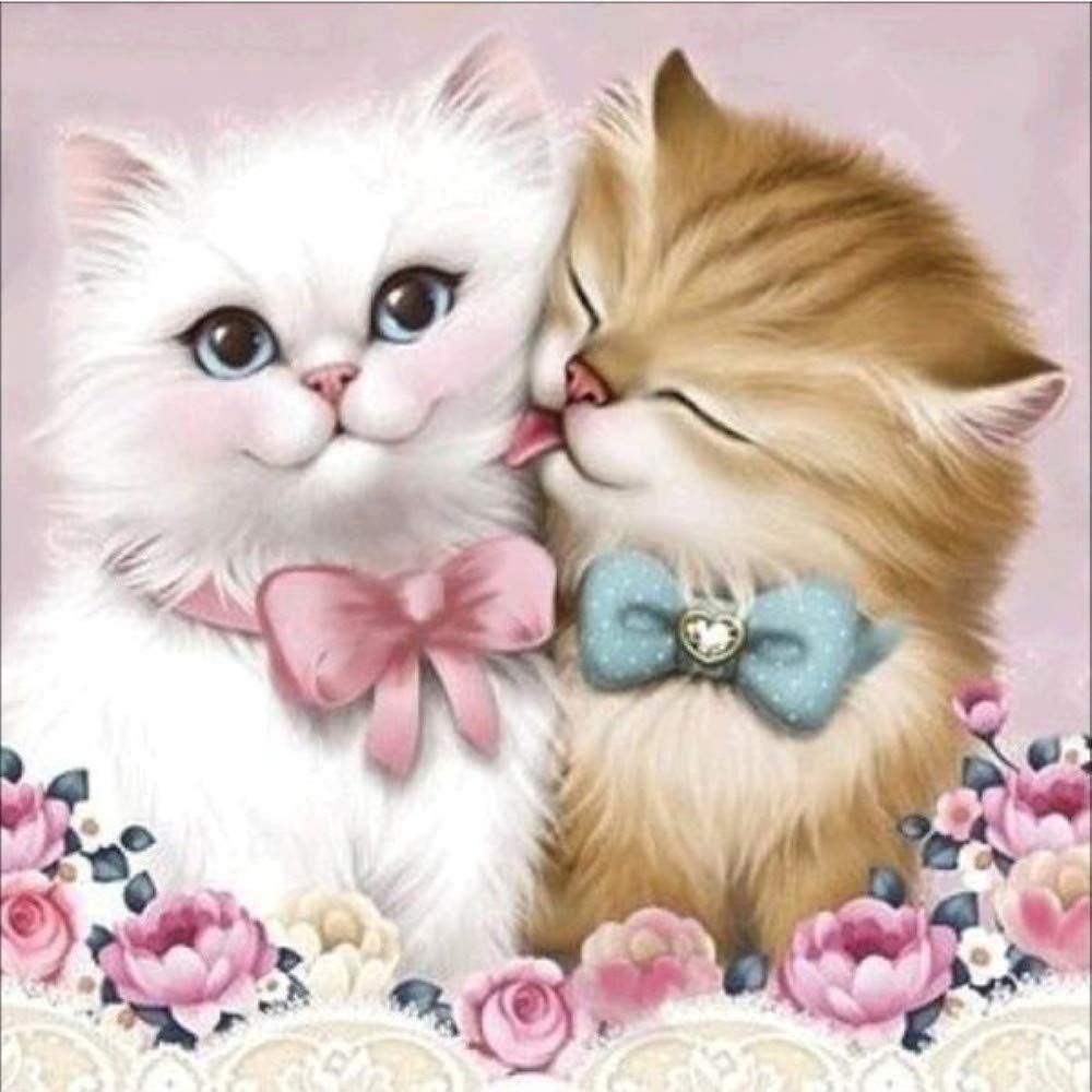 Yifantacy 5D Diamond Painting Cat Kits,DIY Art Full Drill Couple Adults Painting Rhinestone Embroidery,Pictures Arts Craft Gift for Home Wall Decor