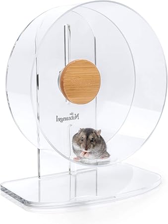 silent dwarf hamster wheel