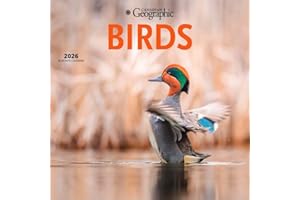 Canadian Geographic Birds OFFICIAL | 2026 12 x 24 Inch (Hanging) Monthly Square Wall Calendar | Wyman Publishing | Wildlife O