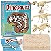 XX Dinosaur Fossil Dig Excavation Kit for Kids 3 Assorted Dino Assemble Model