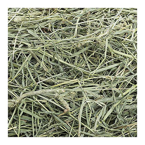 Small Pet Select 1st Cutting High Fiber Timothy Hay Pet Food, 20 lb.