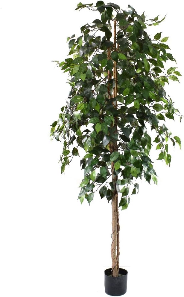 6ft Green Ficus Tree - Indoor Artificial Tree by Olore Home