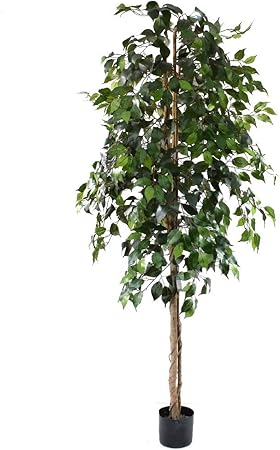 6ft Green Ficus Tree Indoor Artificial Tree By Olore Home Olore