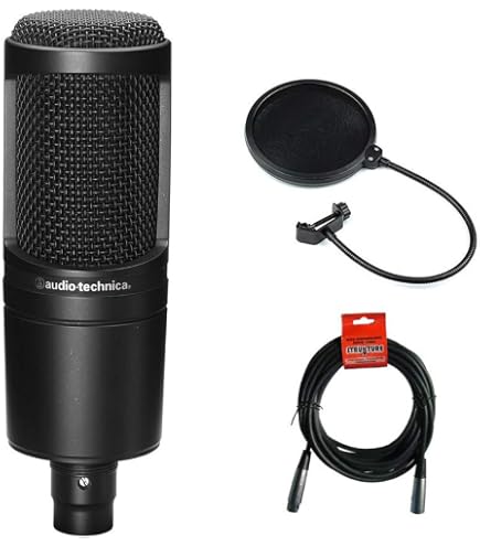 Amazon.com: Audio-Technica Condenser Microphone (BP4073) : Musical