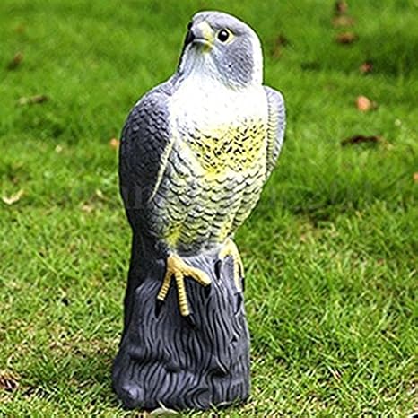 Refurbishhouse Grand Faucon Leurre Dissuasion Des Oiseaux
