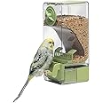 Automatic Bird Feeder, Bird Cage Feeder with Perch for Parakeet Canary Cockatiel Finch (Green)