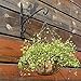 Kingbuy Black Growers Hanging Basket Planter with Chain Flower Plant Pot Home Garden Balcony Decoration-10inch (set of 2) …