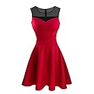 Heloise Fashion Women's A-Line Pleated Sleeveless Little Cocktail Party Dress with Floral Lace
