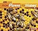 From Flower to Honey (Start to Finish, Second Series)