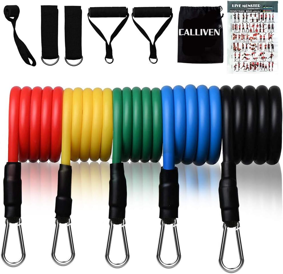 Resistance Bands Set, Exercise Bands with Door Anchor, Handles, Waterproof Carry Bag, Legs Ankle Straps for Resistance Training, Physical Therapy, Home Workout Fitness Equipment (12 Piece Set)