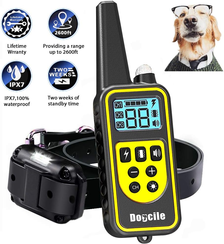 large male rottweiler