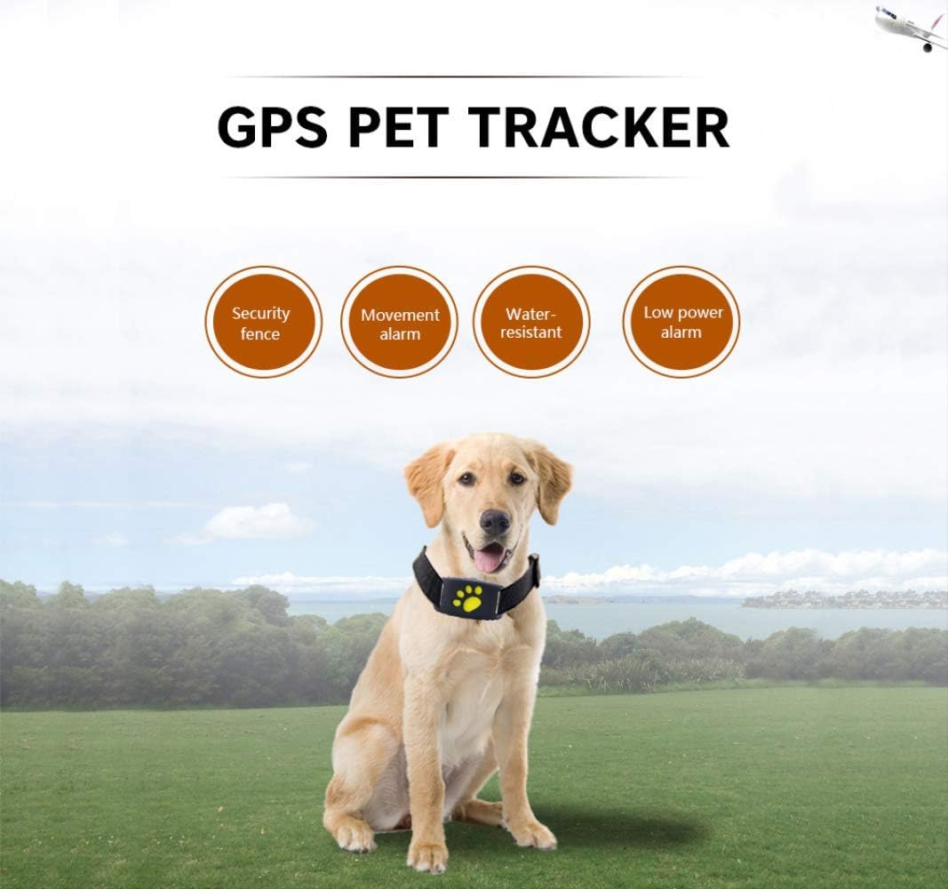 Wllbt Pet Tracker Gps Chienchat Collier Recharge Usb