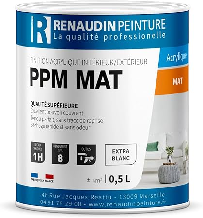 Renaudin Peinture 121301 Ppm Peinture Acrylique Finition Mat Mur Plafond Interieur Exterieur Blanc 0 5l Amazon Fr Bricolage