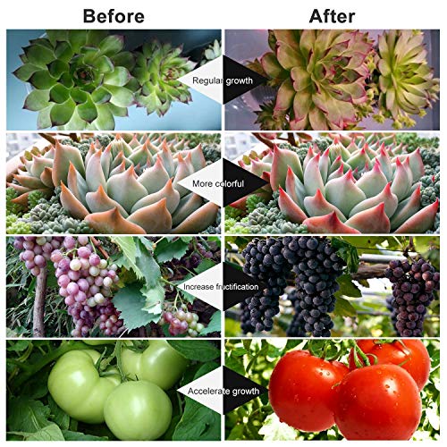 Grow Light, Plant Lights for Indoor Plants, Auto ON/Off Timing Plant Grow Lamp with Red, Blue Spectrum, 10 Dimmable Levels, 3-Head Divide Control Flexible Gooseneck Arm, 3/6/12H Memory Timer (30W)