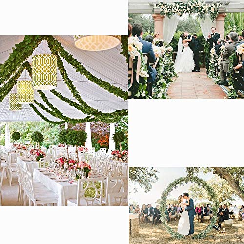Fycooler Faux Boston Ferns Plant Artificial Vines Hanging Leaves Greenery Garland Artificial Plats 6.2 Feet in Length for Wedding Backdrop Arch Wall Decoration Garden Home Decor