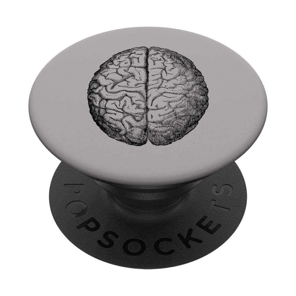 Vintage Human Brain Medical Anatomy PopSockets PopGrip: Swappable Grip for Phones & Tablets