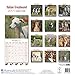 Italian Greyhound Calendar 2017 - Dog Breed Calendars - 2016 - 2017 wall calendars - 16 Month by Avonside