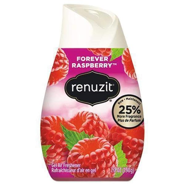 RENUZIT ADJUSTABLE SOLID GEL AIR FRESHENER CONE, FOREVER RASPBERRY, NONSTOP FRESHNESS, 7 OUNCES, 1 CONE