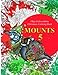 Mounts 5: Christmas Coloring Book (Volume 5) by Olga Goloveshkina