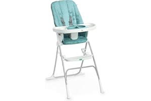Ingenuity: ity by Ingenuity Sun Valley Compact Folding High Chair, Food-Grade Safe Plate, 5-Point Harness, For Ages 6 Months 