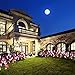 CCJK Solar Flower Lights, Solar Garden 8 Lily Flowers Stake Lights Outdoor,Solar ornaments, Mother's Day Gifts,Multi-Color Changing LED Solar Lights Decorative For Patio,Backyard(2 Pack, Purple & Red)