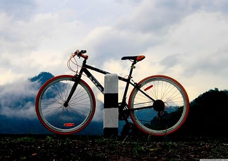 Amazon Co Jp 絵画風 壁紙ポスター はがせるシール式 バイク Trek トライアスロン アイアンマン サイクリング 自転車 キャラクロ Cmtb 006a2 版 594mm 4mm 建築用壁紙 耐候性塗料 車 バイク