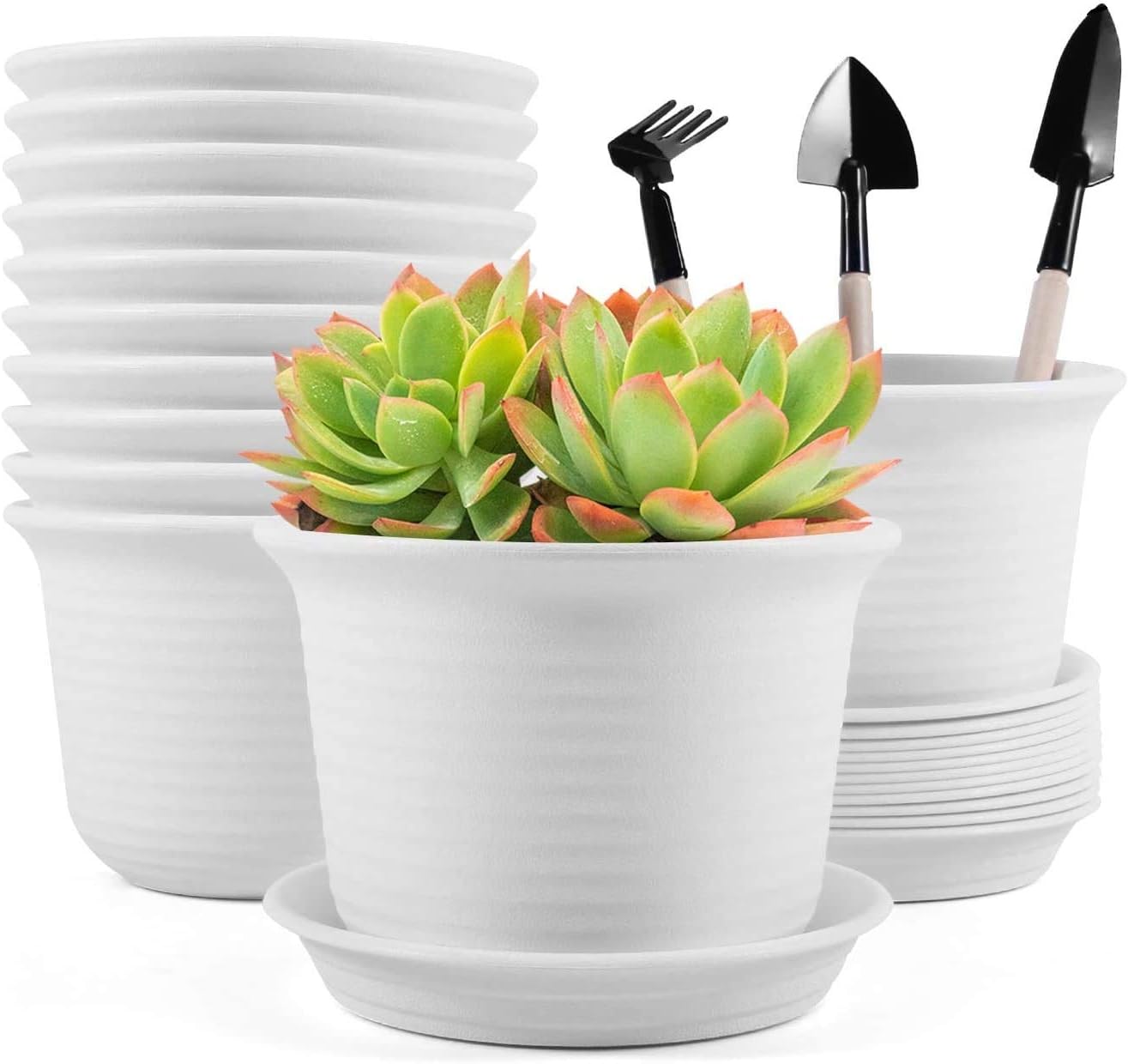 CHARMDI Plant Pots, 6 inch Plastic Planters