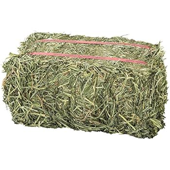 Grandpa's Best Orchard Grass Bale, 10 Lbs